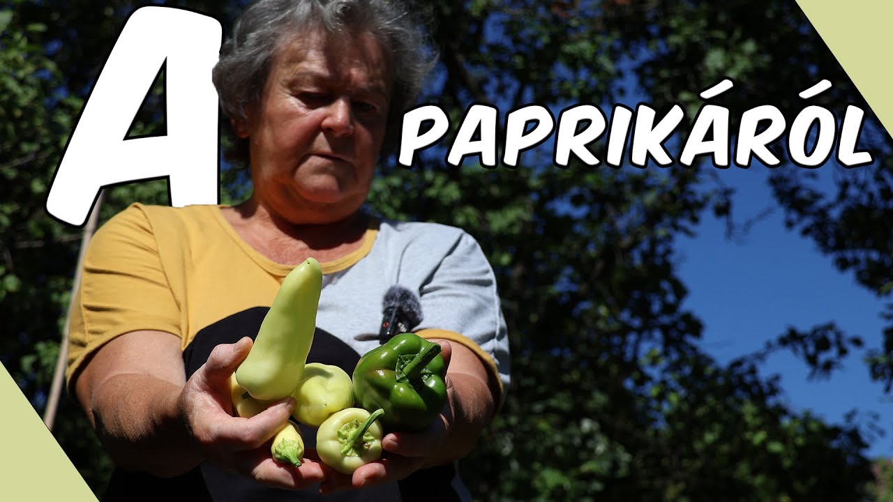 PAPRIKÁS hangulatban