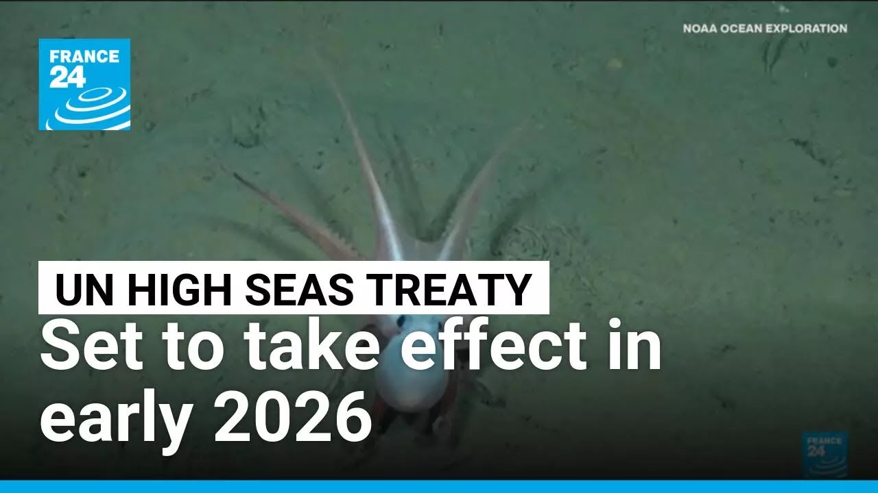 UN High Seas Treaty, ratified by 60 countries, to take effect in early 2026 &bull; FRANCE 24 English