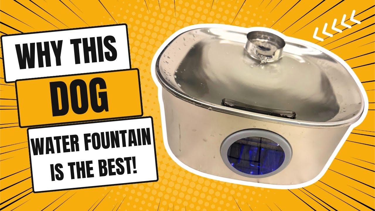Review & Demo of Large Dog Water Fountain Stainless Steel
