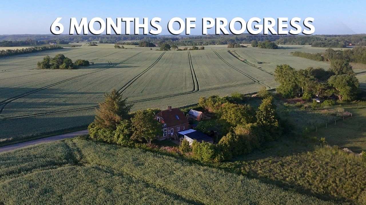 Everything I’ve Done to My Danish Countryside Home So Far (6-Month Renovation Recap)