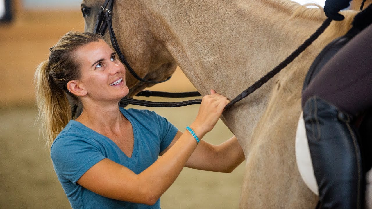 5 Reasons Why Horses Behave Differently for Different People