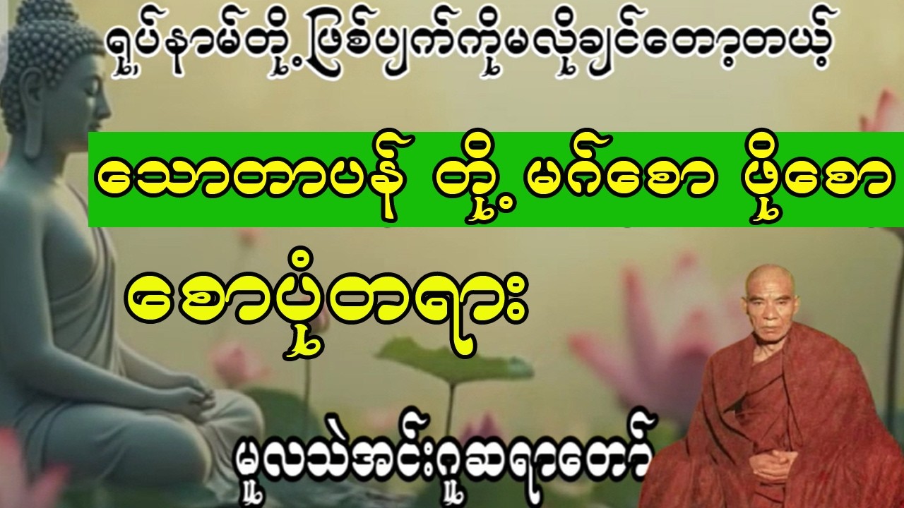 သောတာပန် ဖြစ်တော့မယ့်ပုဂ္ဂိုလ် 