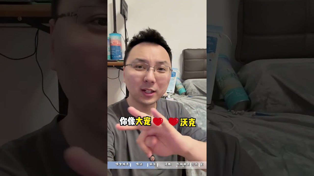 猫狗双全家庭需要注意点啥 猫狗双全的家庭，养猫需要注意什么？养猫经验分享 猫狗双全 养猫新手