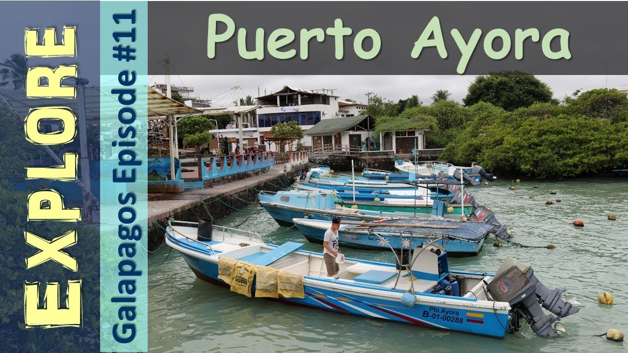 Galapagos Islands: Puerto Ayora