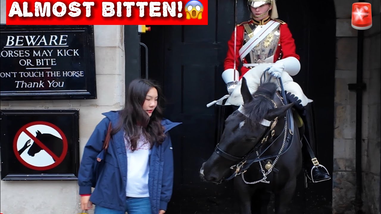 😱НАВЫКАЛЬНАЯ ОПАСНОСТЬ! Громкий крик охранника спас туриста от укуса лошади‼️