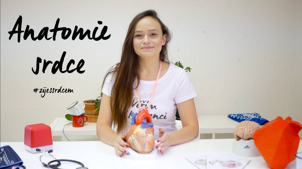 Anatomie lidského srdce  | #zijessrdcem