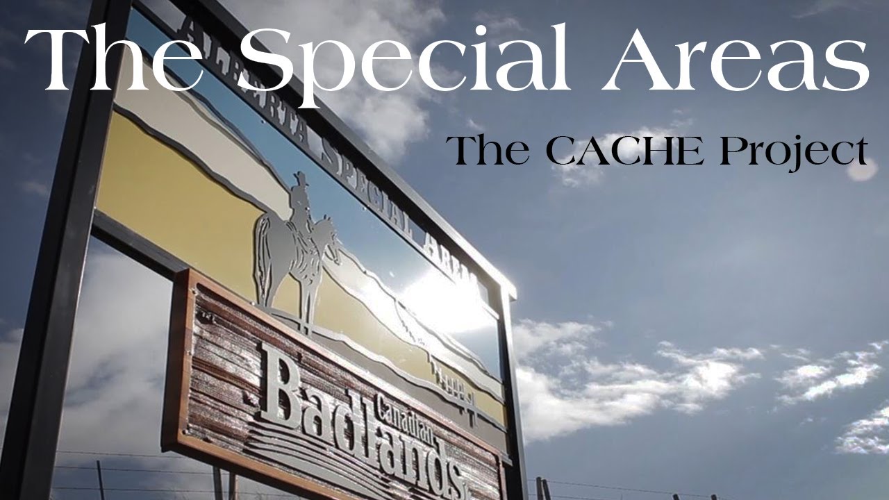 The Special Areas