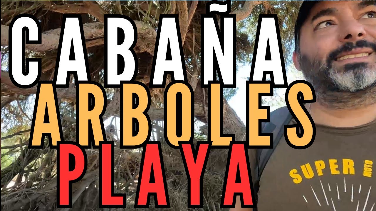 Descubrimos una CABAÑA en unos ARBOLES para VIVIR en LA PLAYA en VERANO en EL ROMPIDO [ANDALUCÍA]