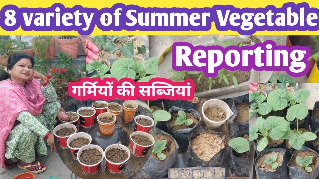8 Summer Vegetables Variety Is Ready For Sowing  | गर्मियों के लिए अभी इन हरी सब्जियों को जरूर लगाएं