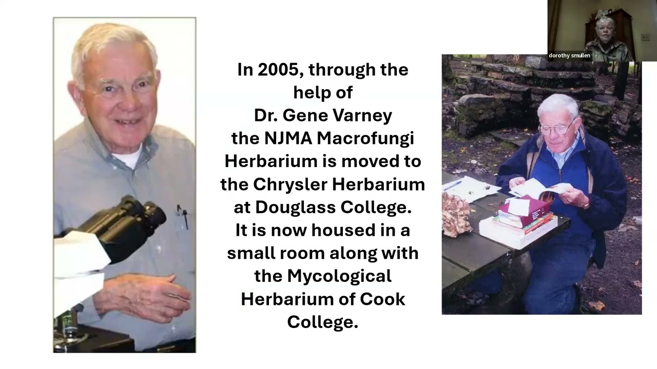 Taxonomy Tuesday 01.27.2026 NJMA Fungal Herbarium and Member Finds
