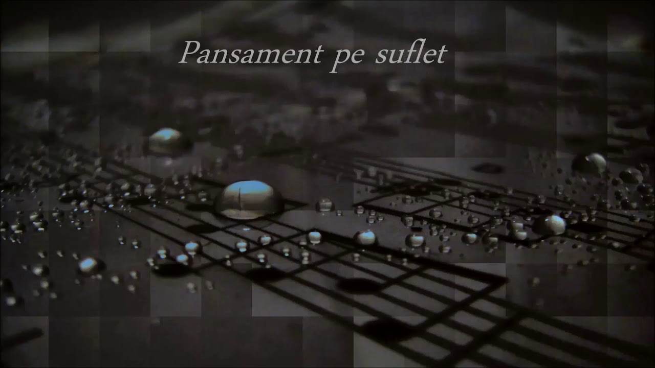 Petri - Pansament pe suflet