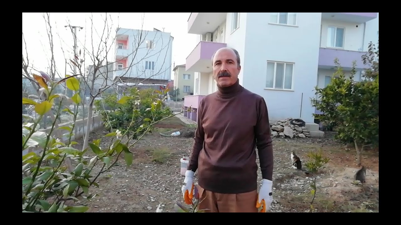 Meyve Ağacına Azotlu ve Kükürtlü Gübre Ne Zaman ve Nasıl Verilir?