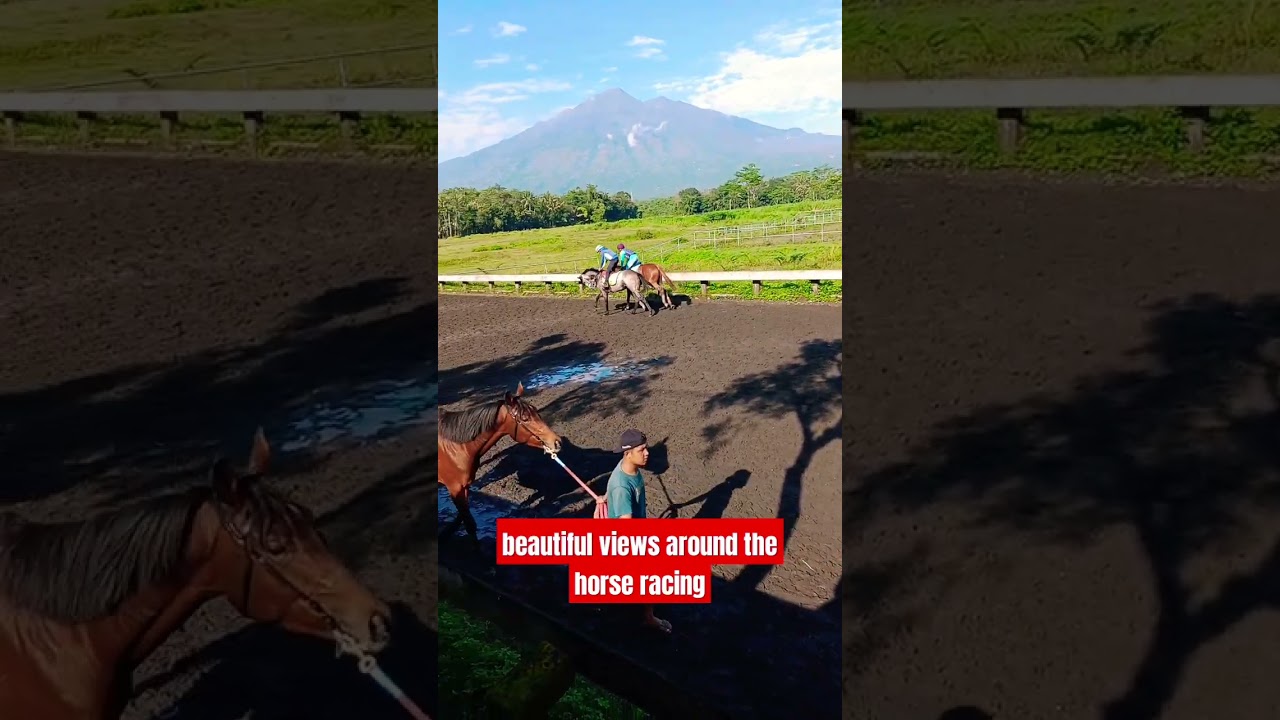beautiful views around the horse racing#horse #horsewalking #racehorse #horseriding #horseracing