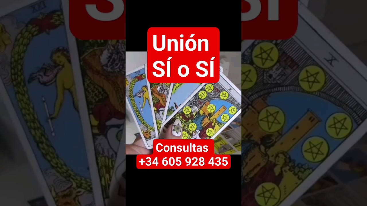 ❤️UNI&Oacute;N S&Iacute; ❤️ #almasgemelas #love #tarotencortoalmadharma #tarot #almasllamasgemelas