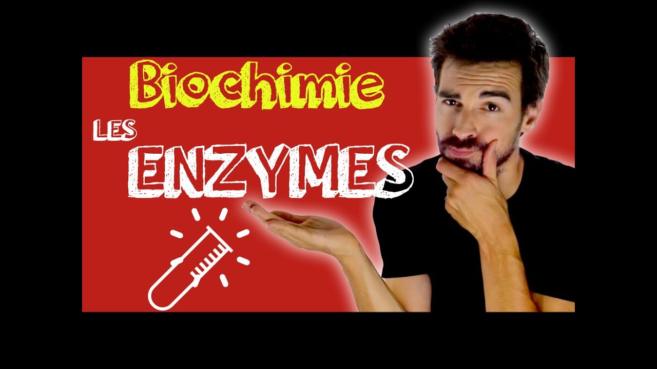 COURS DE BIOCHIMIE: LES ENZYMES