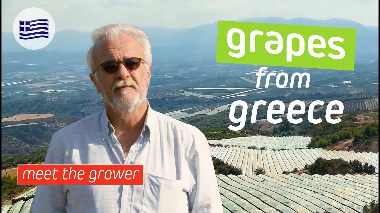Meet The Grower in Greece | EXSA Europe