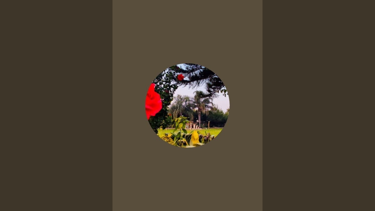 Peaceful living with garden, birds , and nature -fielld simple moments.