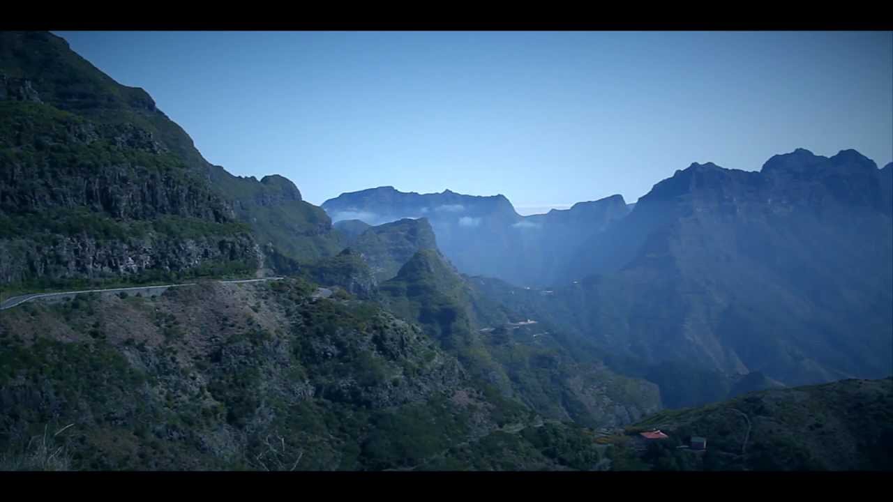 Madeira Island Laurissilva forest