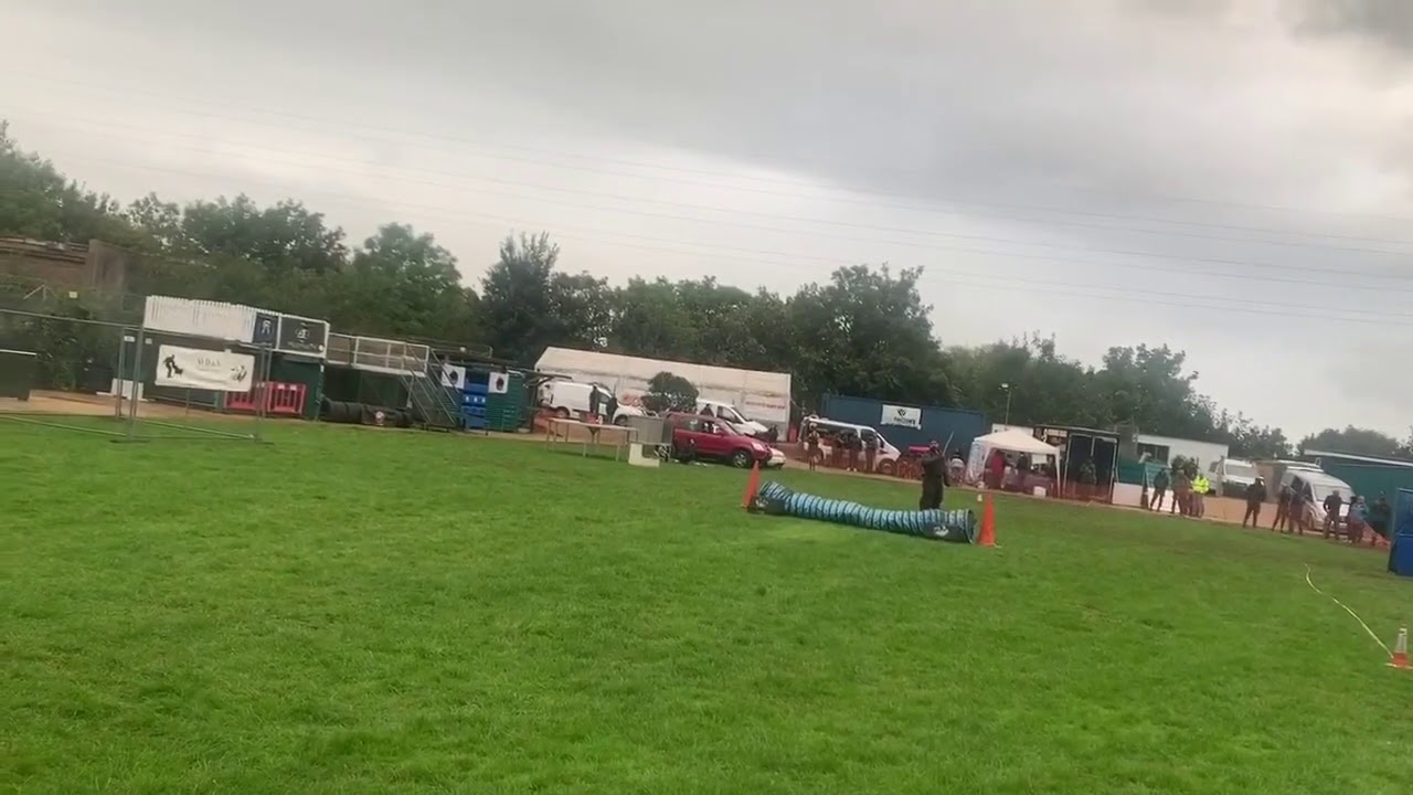 Zwp1 & 2 & long send Suit - with a young 12 year old handler