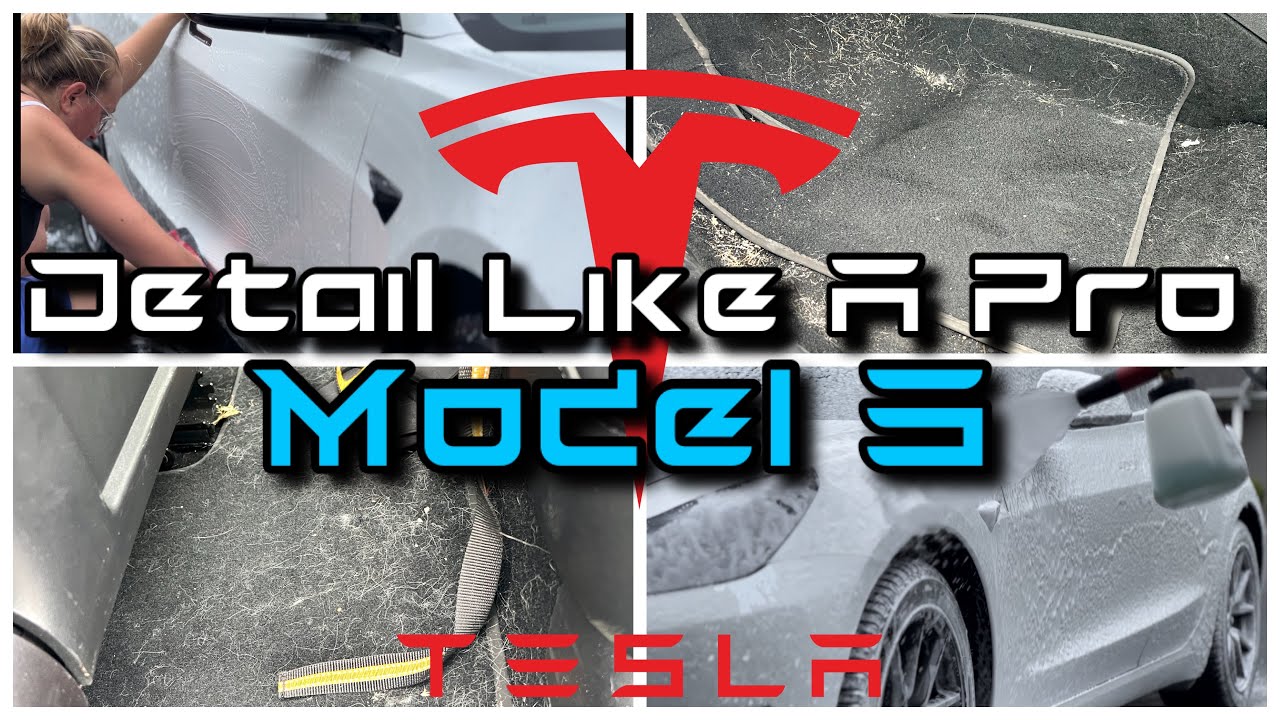 Deep Cleaning Tesla Model 3- Pet Hair, Tar and ROAD BOOGERS Galore!