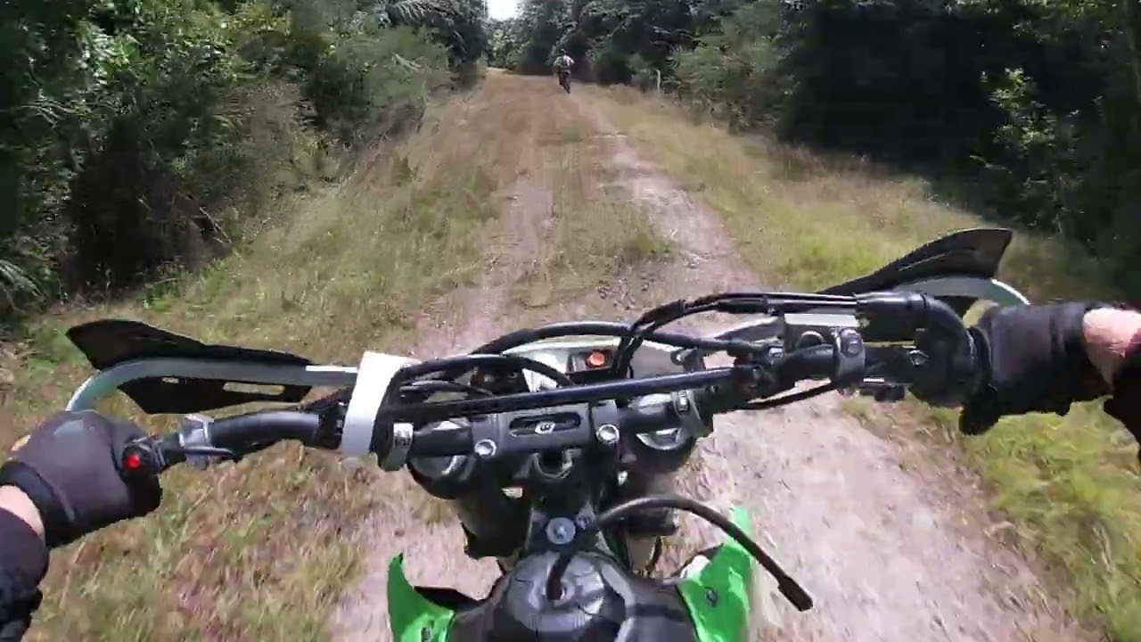 Gravel roads and fallen trees