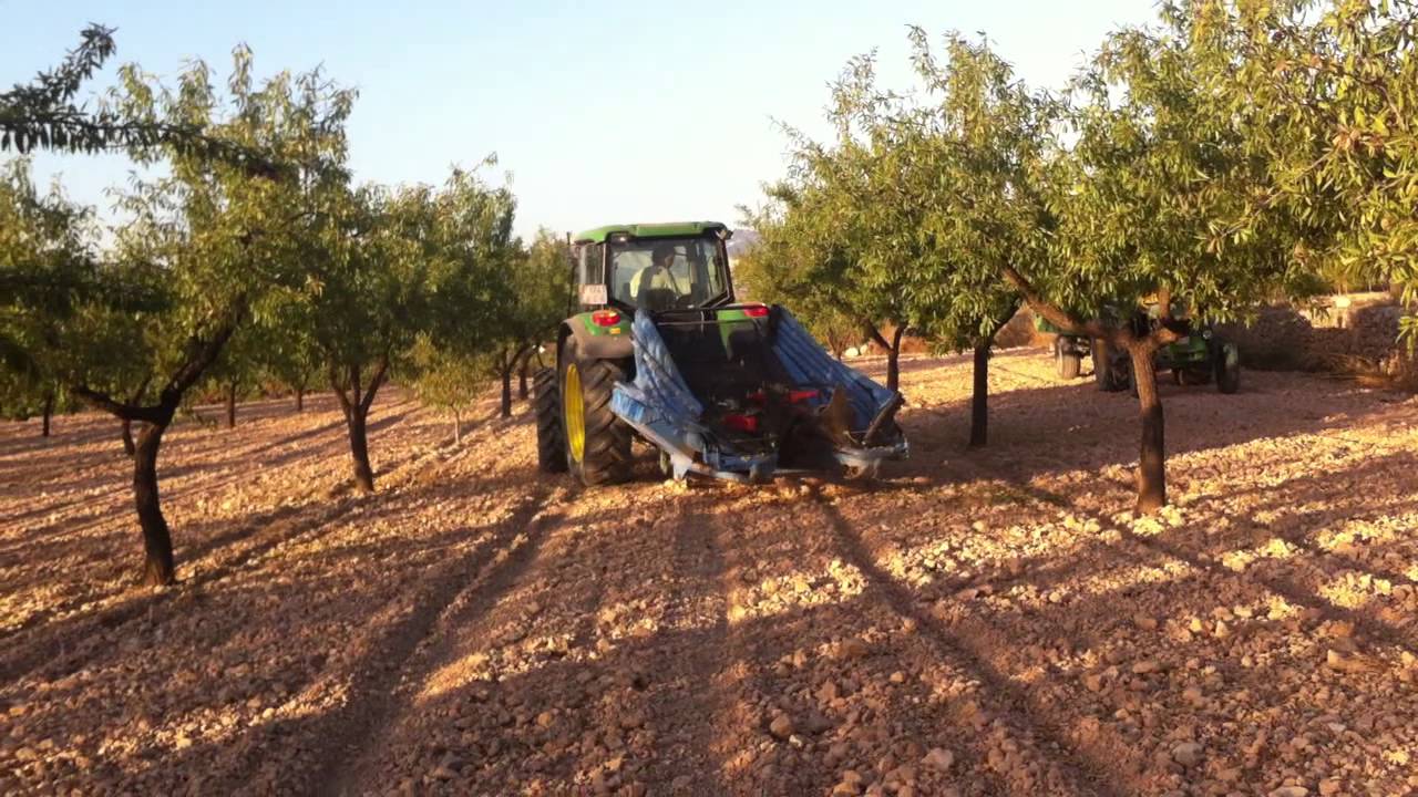 John deere 6220 recolectando almendra con máquina topavi