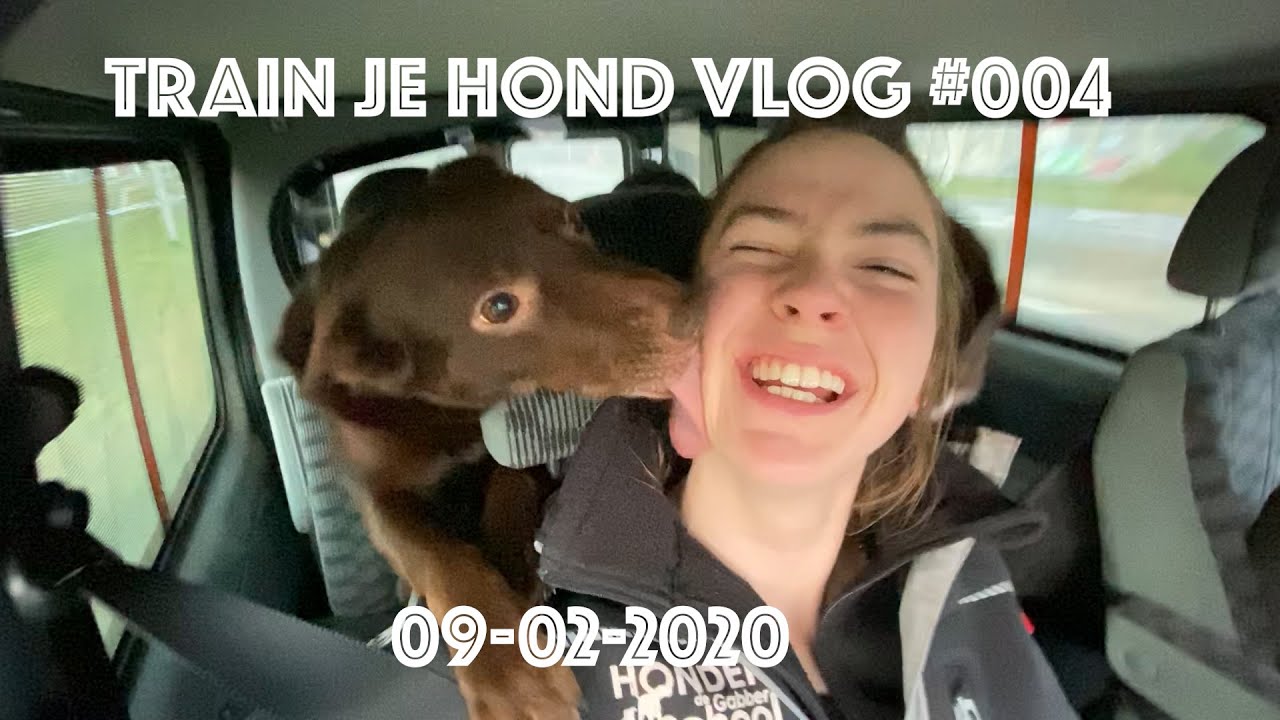 TRAIN JE HOND // Behendigheidswedstrijd in Hoogerheide  // VLOG #004