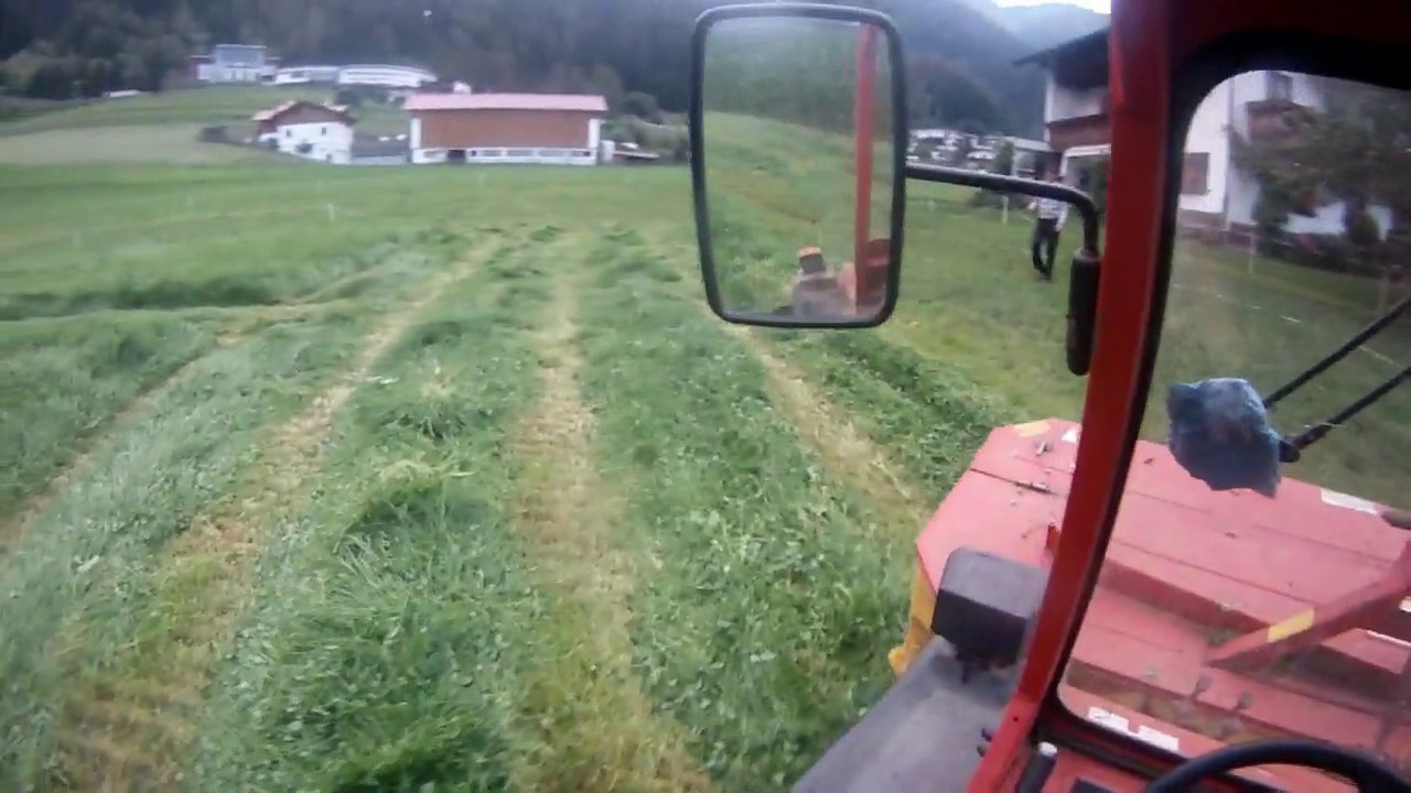 Gras m&auml;hen mit Reform M&auml;htrac 3003 / 50 ABOSPEZIAL/