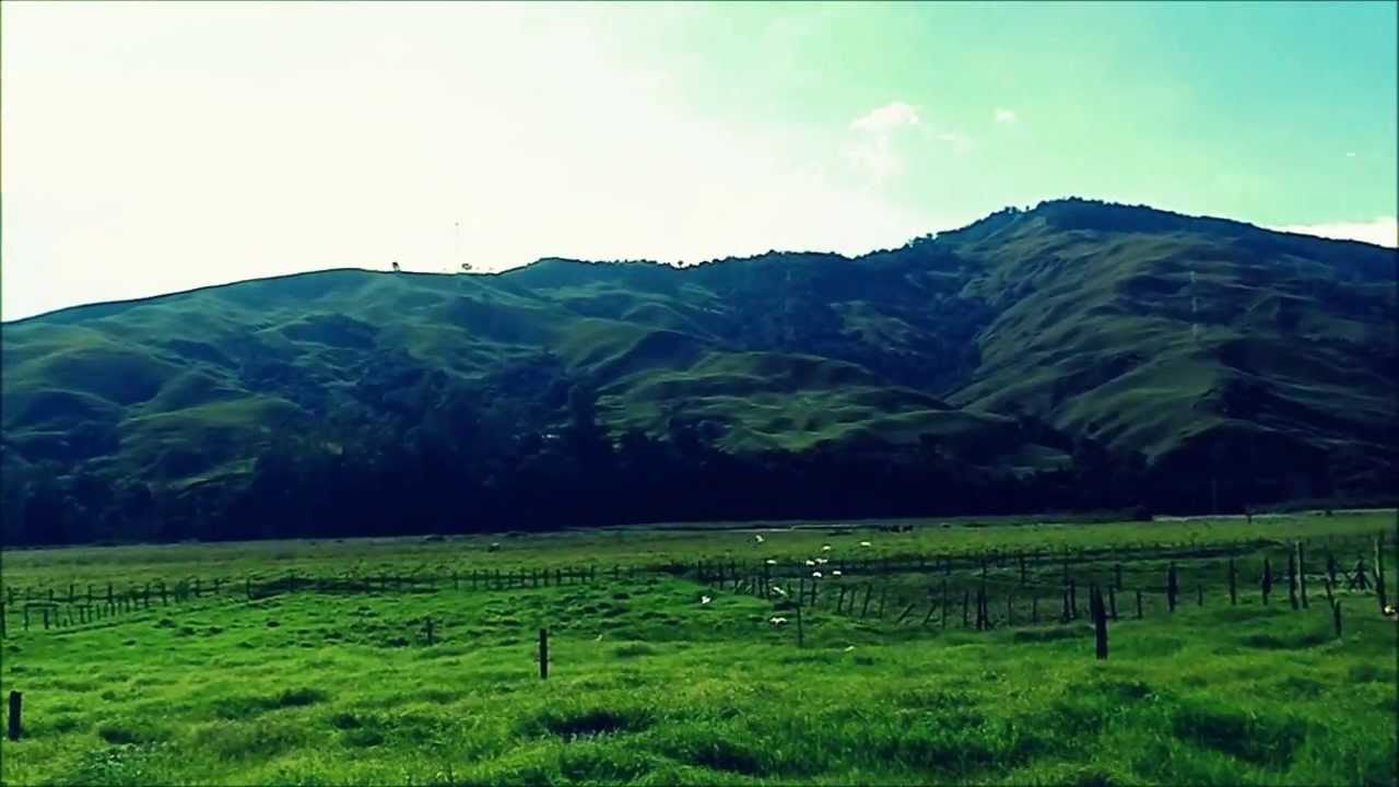 Garzas