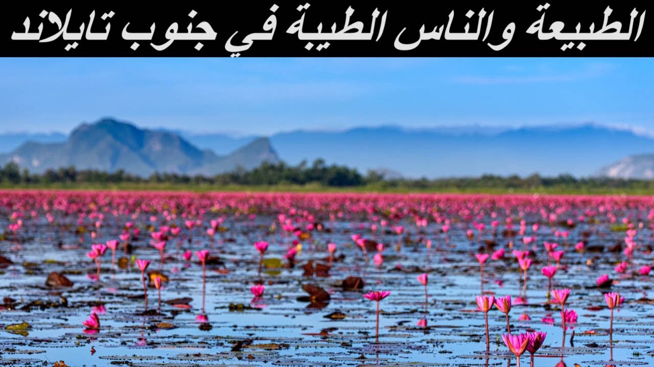 Phatthalung 145 | رحلتي الي جنوب تايلاند