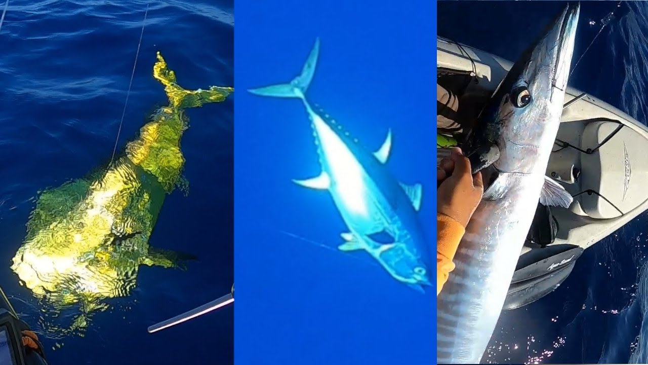 My Most Epic Kayak Fishing Trip (Slammer Mahimahi, Yellowfin Tuna, Wahoo)