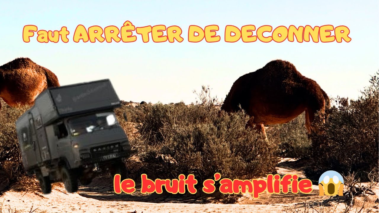 T8🇹🇳faut ARRETER DE DECONNER #desert #travel #vehicles