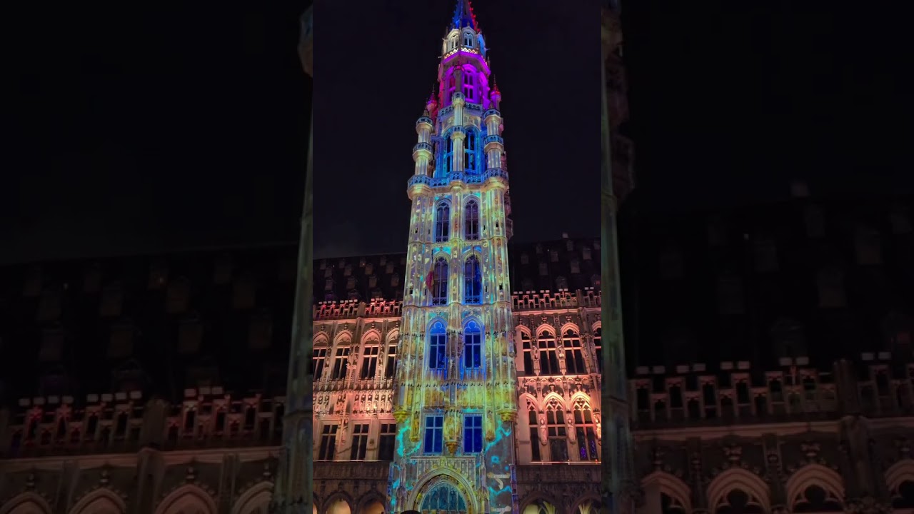 Brussels (Belgium)                                           #everyone#reels#belgium #brusselslife