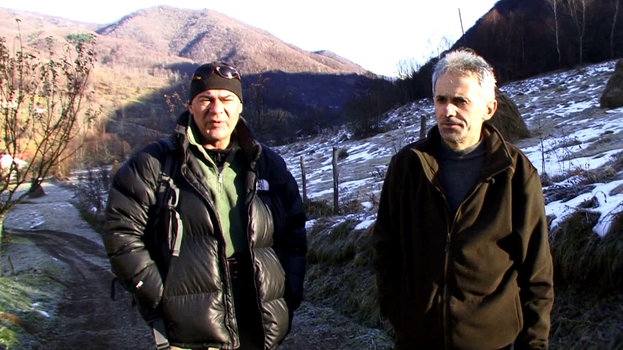 Natură și aventură - Observație de animale sălbatice in Tarcu Godeanu