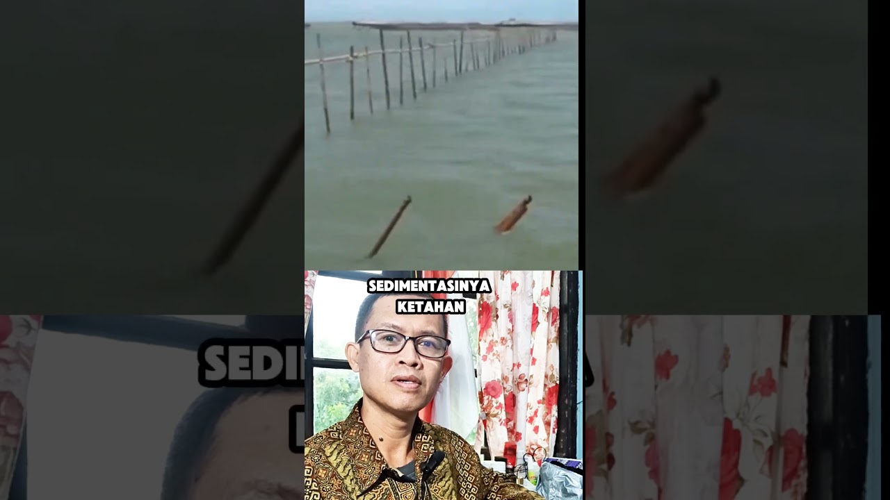 Ternyata Pagar Laut yg "buat" KKP