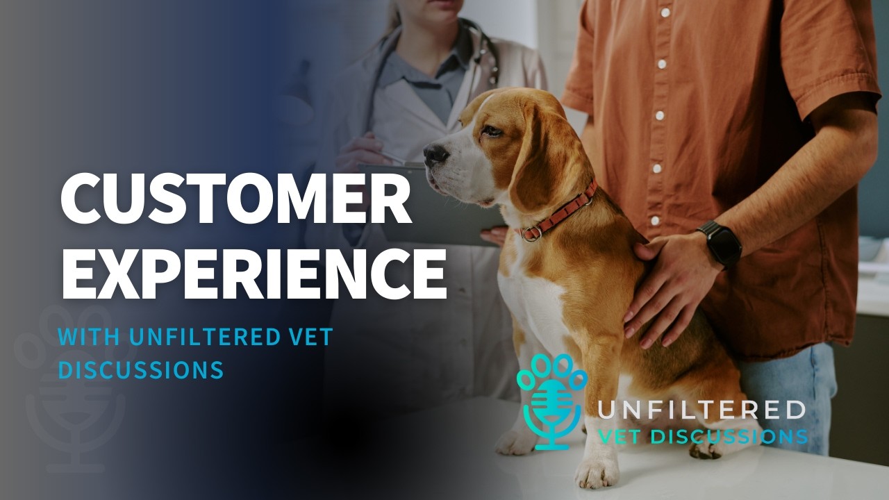 Customer Experience