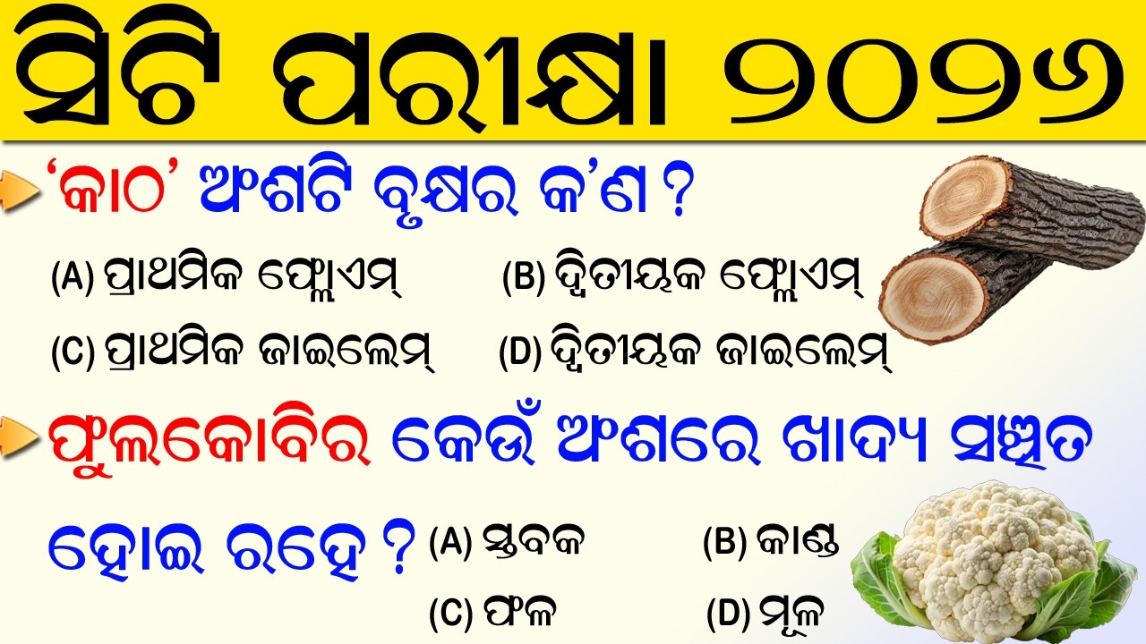 CT Exam Preparation 2026 | CT exam questions and answer | CT Entrance | CT Exam Practice Questions
