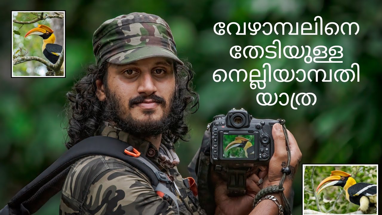 വേഴാമ്പലിനായുള്ള നെല്ലിയാമ്പതി യാത്ര | Bird Photography Malayalam