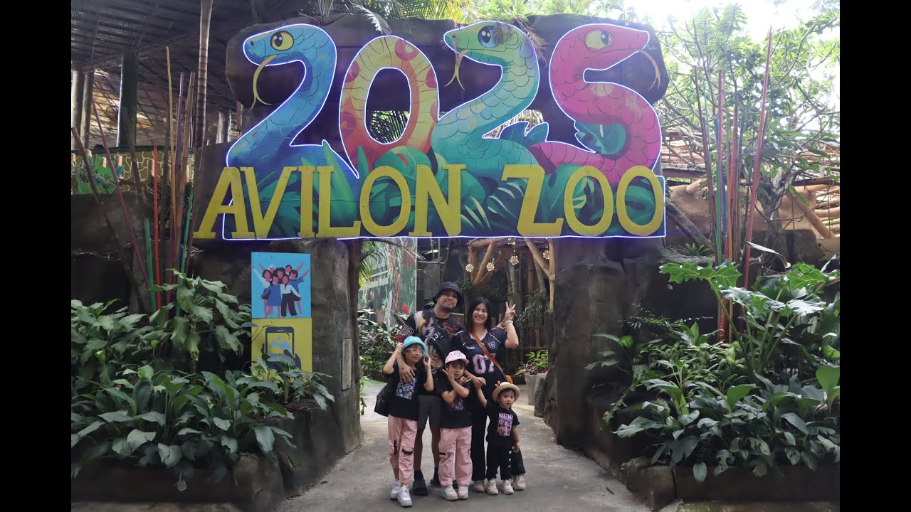 Avilon Zoo 2025