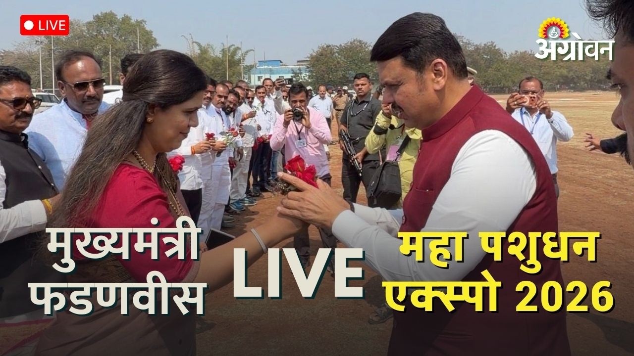 Devendra Fadnvis Live:  मुख्यमंत्री देवेंद्र फडणवीस ‘महा पशुधन एक्स्पो 2026’ लाइव्ह