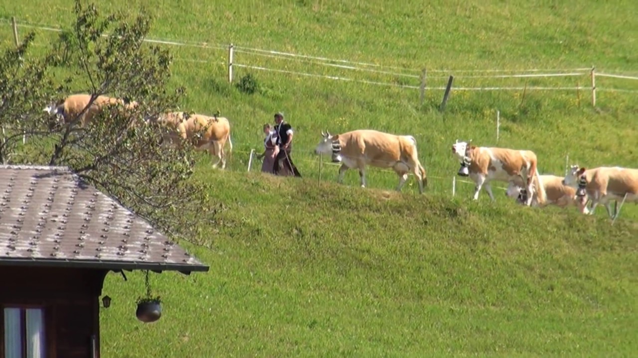 Ch&uuml;ejerzyt 2017 Alpauffahrten 27.  Mai