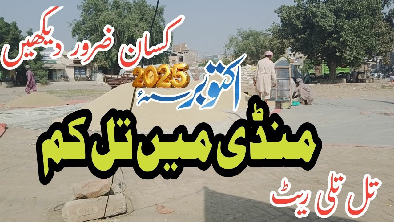 Galla mandi update today | till rate today | tili rate in Pakistan 