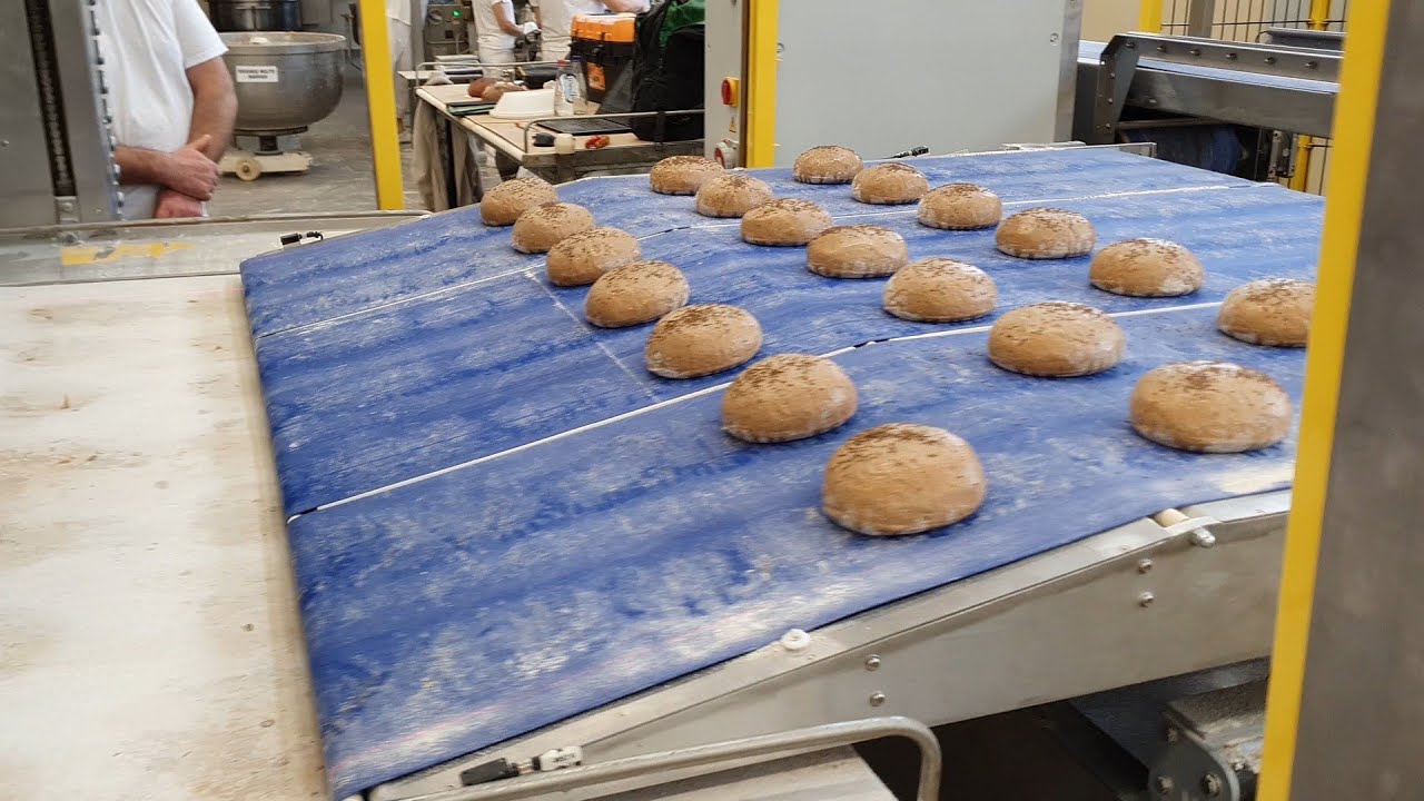 automatic bread dough loaves finishing, conveying and positioning system , by Tiulmax