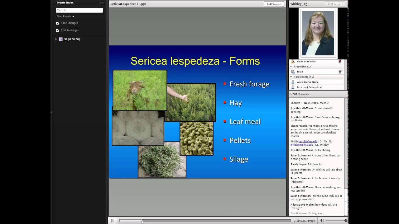 Sericea Lespedeza