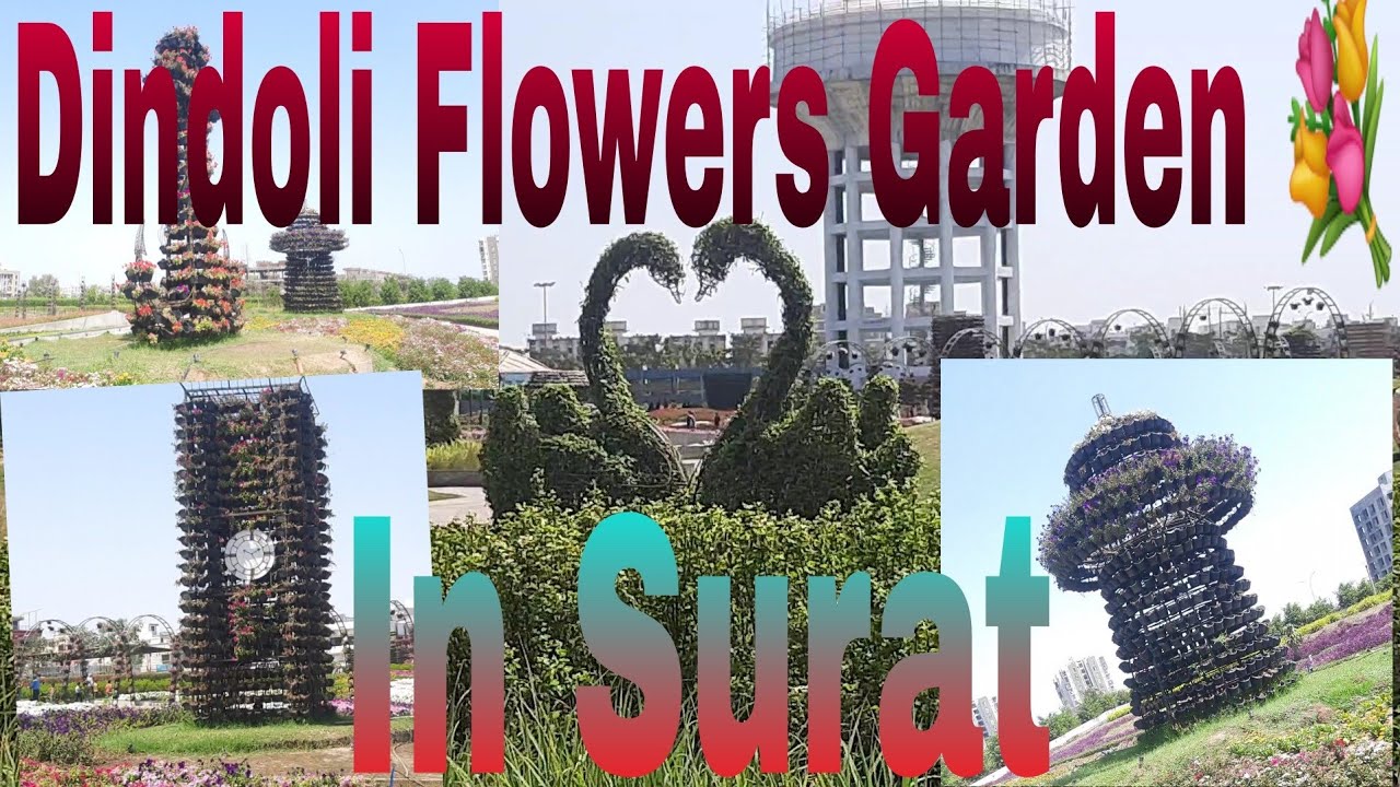 Dindoli Flowers new Garden  // No1 in Surat Aap bhi dekhna na bhule 🙏