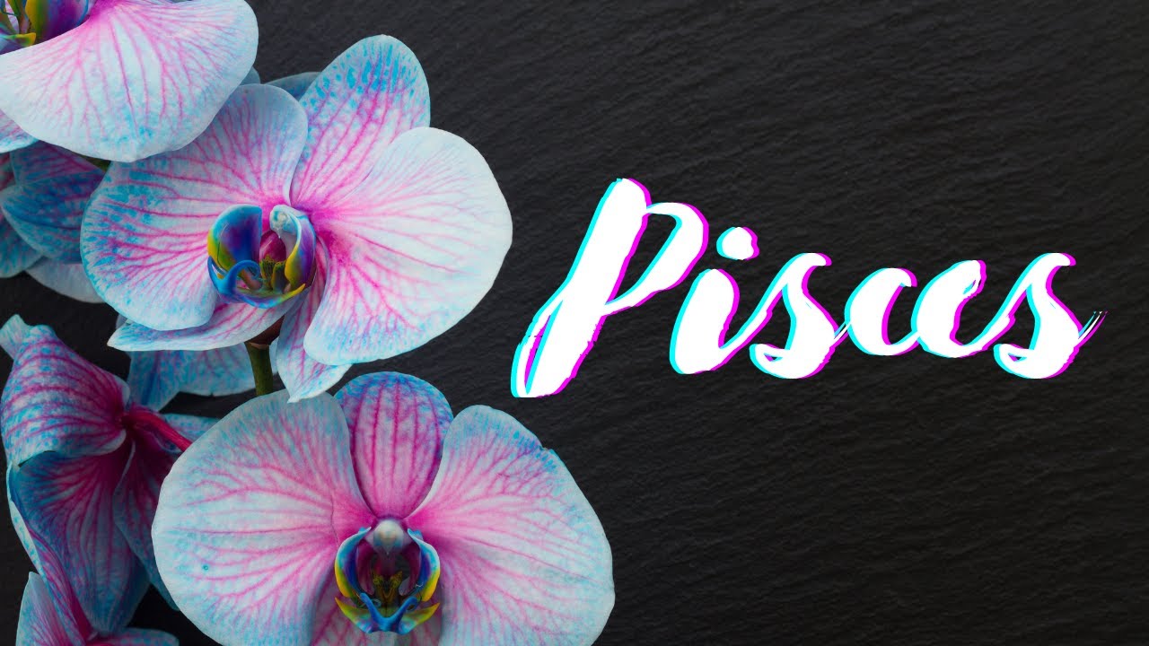 Pisces🖤They Want YOU, But Know You Need To Hear The Truth🖤No Communication