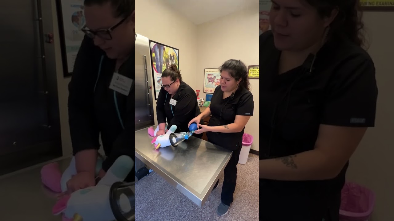 Penn Foster - Vet Tech - Skill 17 - CPR