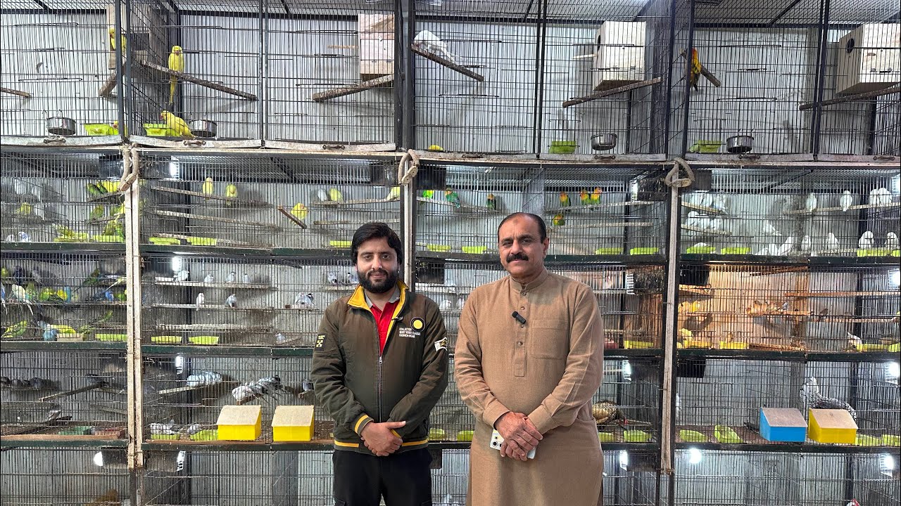 Multan Sunday Birds Market 25 January 2026 | multan birds market latest update | Mustaq Ahamad |