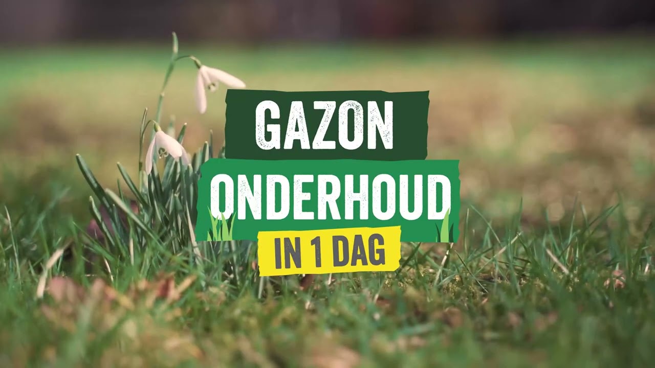 Gazon onderhouden in 4 stappen - GAZONONDERHOUD IN 1 DAG 🌱