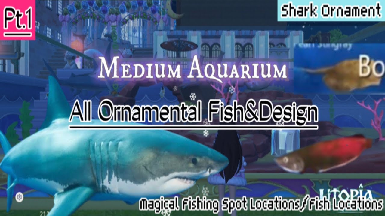 Pt.1: Aquarium Design | Shark Ornament | Fish Ornament Location | Magical Fishing Spot Loc.🐠🐠🐠